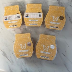 5 Buzz Worthy Scentsy bars